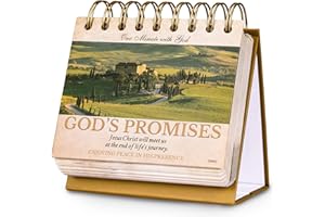 SHOPARR Desk Calendar - Christian Gifts/Religious Gifts for Women, Bible Gifts, 4.8" x 5.5", 365 Days of Inspriational Quotes, Flip Calendar for Desk with Thick Paper, Twin-Wire Binding - Promises