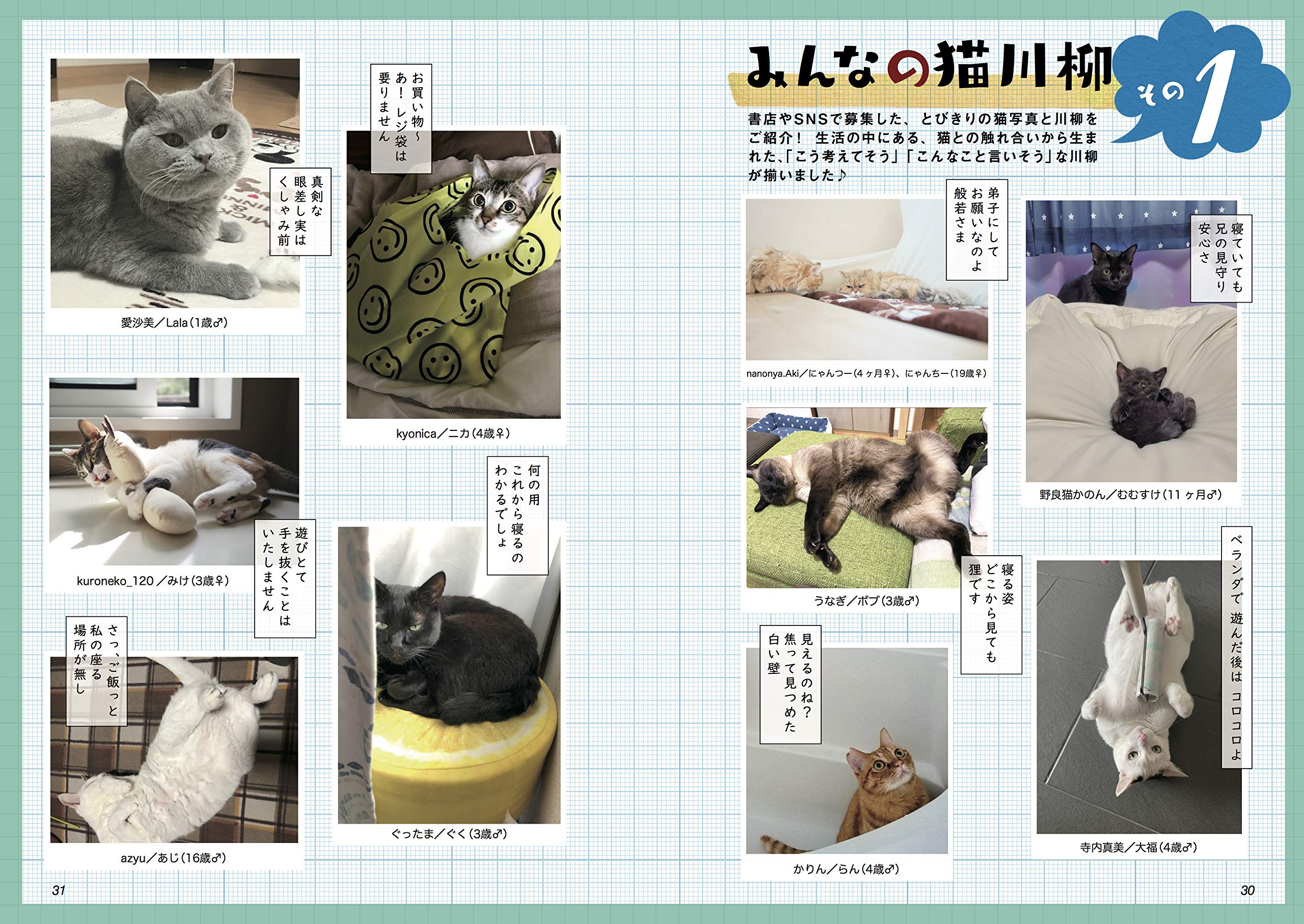ホンネ特盛 猫川柳 タツミムック 猫川柳編集部 本 通販 Amazon