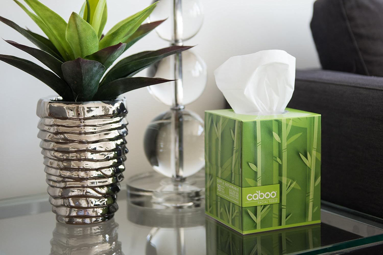 Caboo Tree Free Bamboo Facial Tissue Paper, Eco Friendly Hypoallergenic Tissue Box with 90 Sheets Per Cube, Total of 6 Cubes, 540 Total Tissues: Health & Personal Care