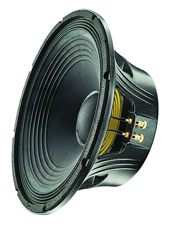 sweton speaker 15 inch