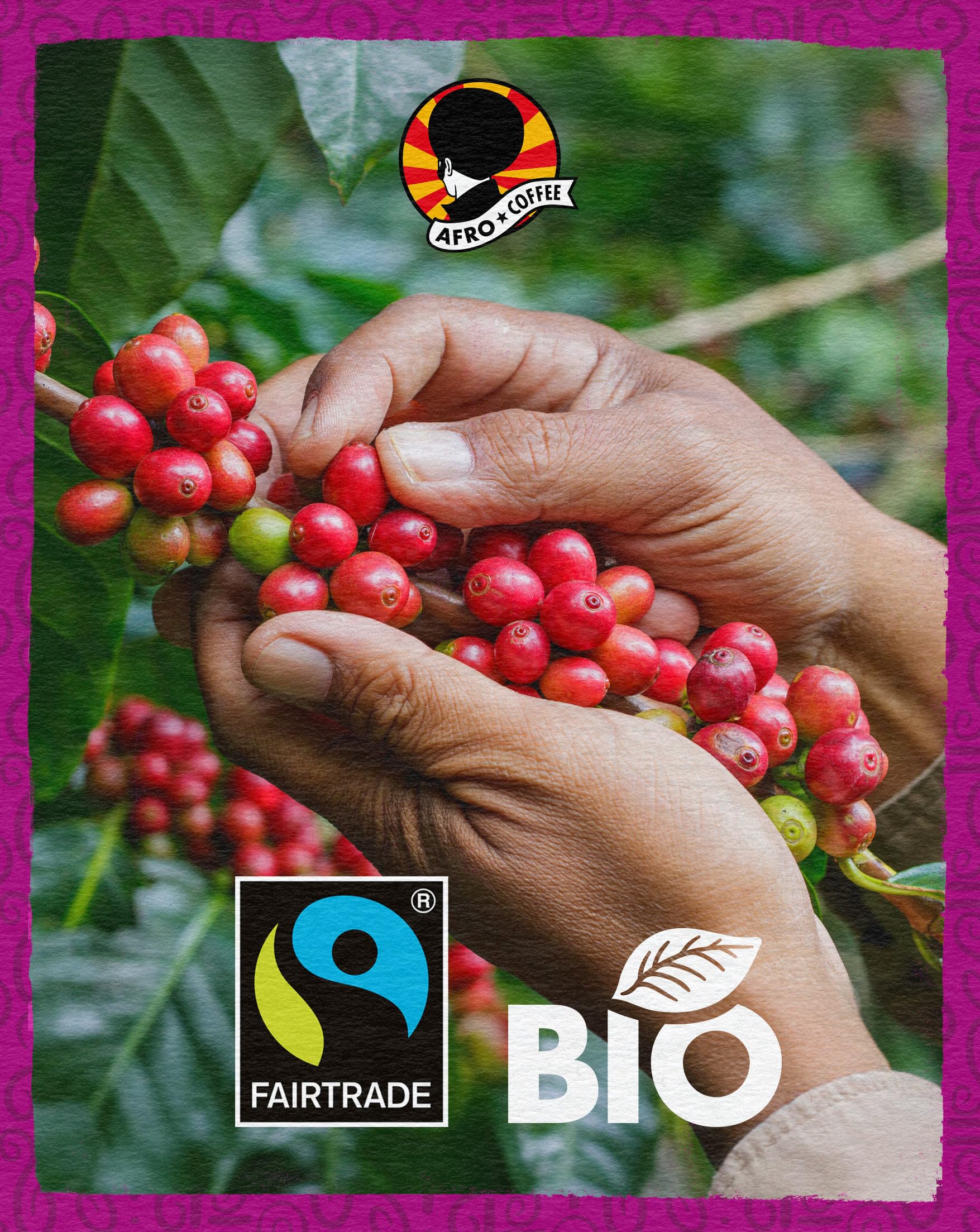 AFRO COFFEE Strong & Earthy I 500g Premium Bio Kaffeebohnen Fairtrade I Arabica & Robusta Bohnen I Bohnenkaffee aus Ostafrika mit nussiger Note I Kaffee Bohnen handgepflückt, dunkel geröstet, säurearm 5