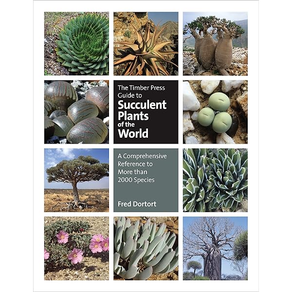 Succulents: The Illustrated Dictionary: Maurizio Sajeva