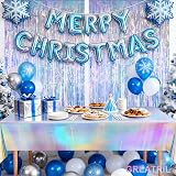 GREATRIL Iridescent Foil Fringe Curtain 1m x 2m Pack of 2 Backdrop view 2