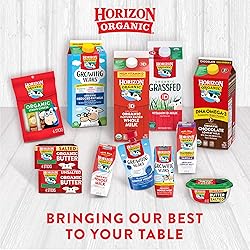 Horizon Organic, Milk Low-Fat Vanilla Organic, 8 Fl