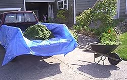 Dry Top Multi-Purpose Economy Poly Tarp, 20x30