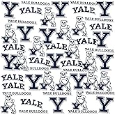 Yale University Spirit Logo Vinyl Large Deluxe Stickers Variety Pack - Laptop, Water Bottle, Scrapbooking, Tablet, Skateboard, Indoor/Outdoor