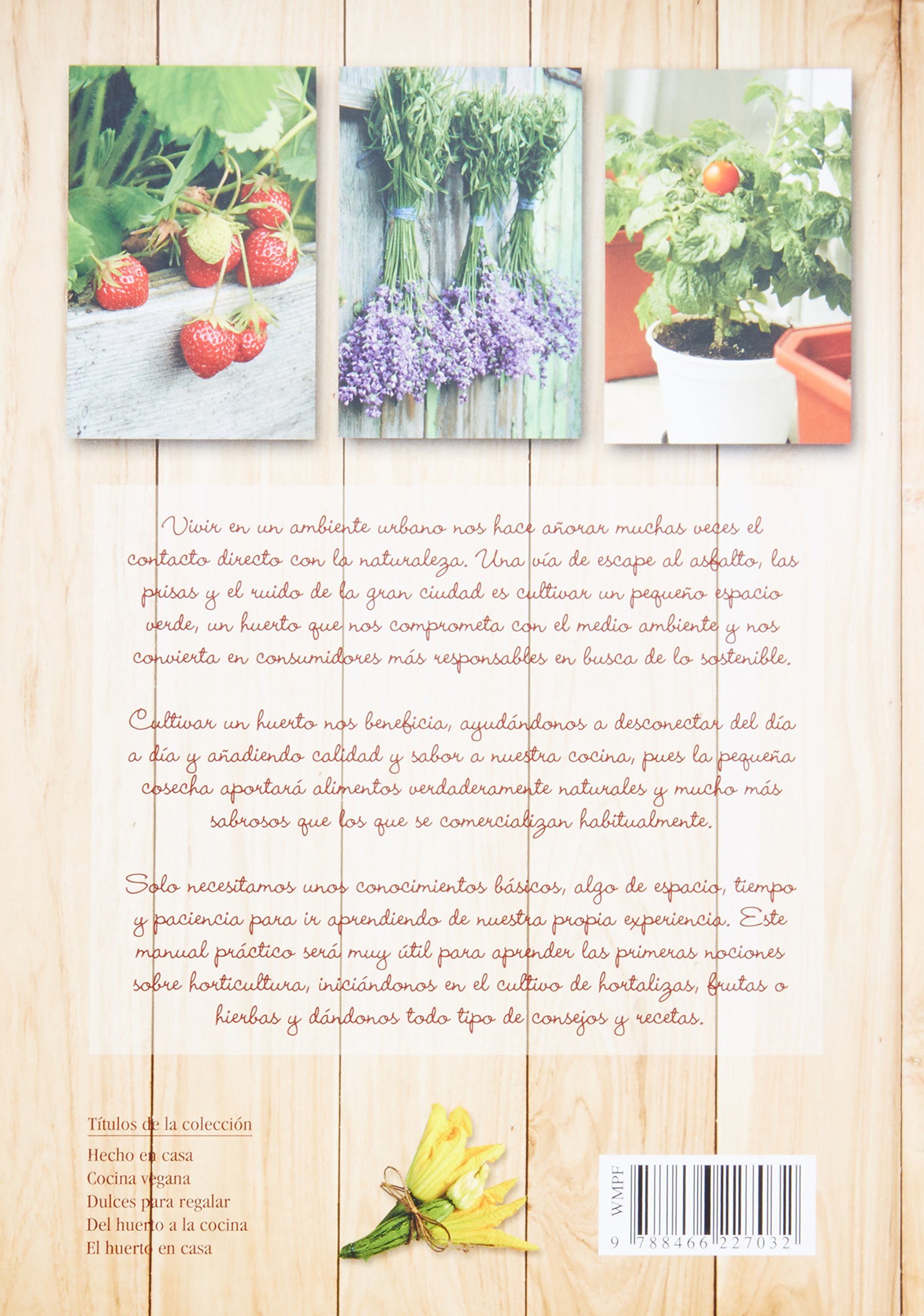 El Huerto En Casa (Hecho en Casa): Amazon.es: Mañeru, María ...