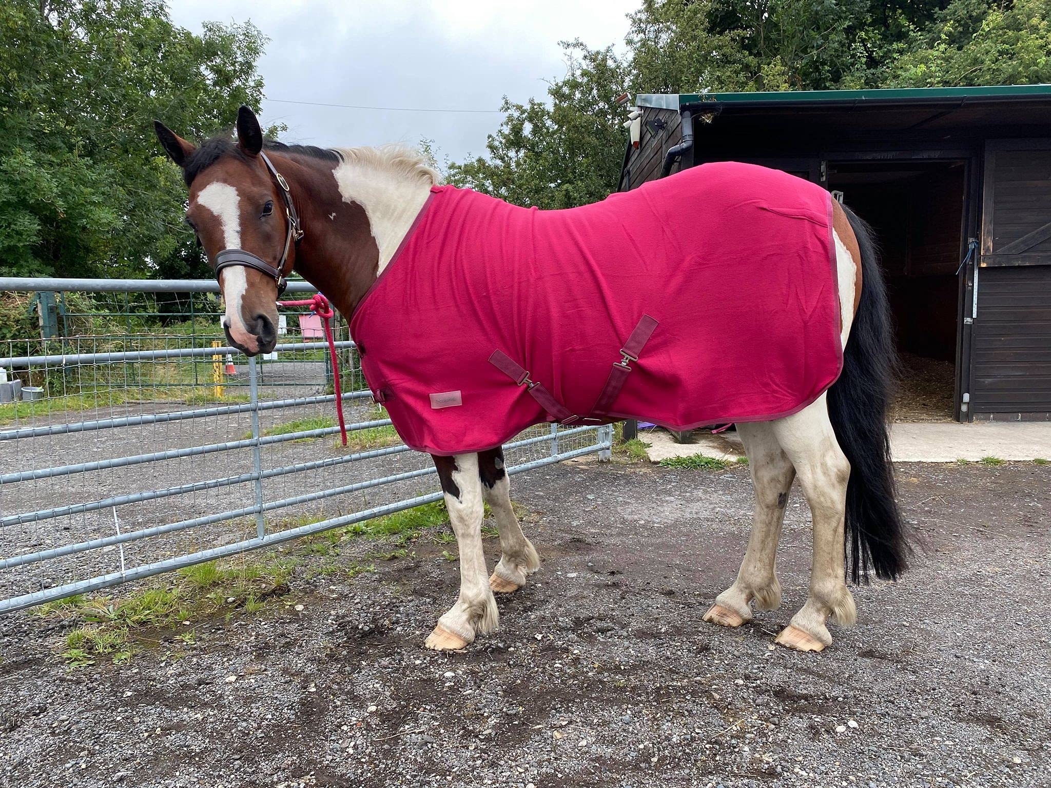 Equipride Horse Fleece Rug/Travel rug made on 260 gsm Fleece for Shetland, Pony Horse Size 3'0" to 7'0" BURGUNDY (6'0")