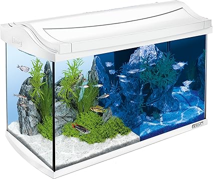 Acquario tetra aquaartled , 60 l, bianco 244900