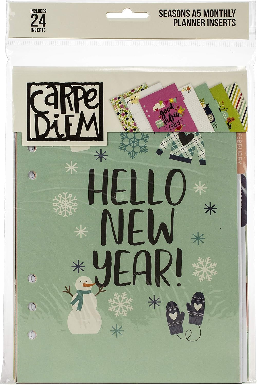 PUKKA PADS USA (CARPE DIEM) Carpe Diem A5 Insert Seasons, Monthly, Undated, One Size