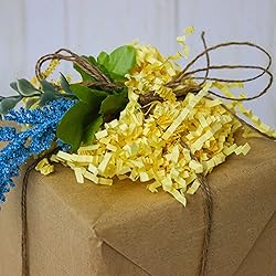 MagicWater Supply - 2 oz - Canary - Crinkle Cut