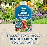 Vitax Organic Liquid Seaweed Concentrate 1L for Plants Flowers Fruit Vegetables view 5