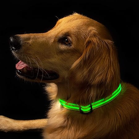 great and small dog collar