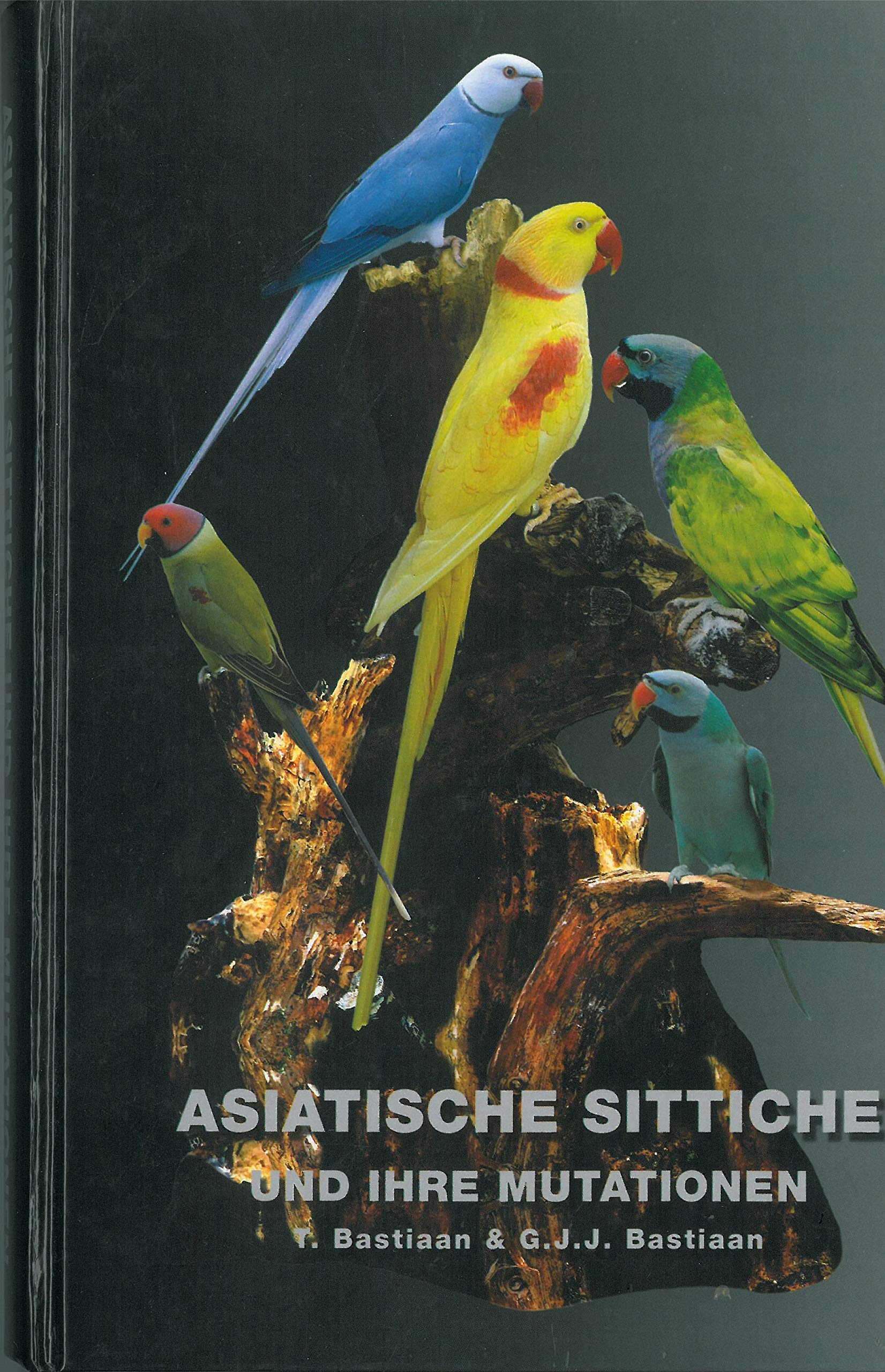 Asiatic Parrots And Their Mutations T Bastiaan G J J Bastiaan G J J Bastiaan Inte Onsman 9789090173269 Amazon Com Books Asiatic Parrots And Their Mutations T Bastiaan G J J Bastiaan G J J Bastiaan Inte Onsman 9789090173269 Amazon Com Books