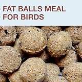 SWISSINNO Bird Feeders Hanging Station Lucerne No Mess Seed Tray 7 Fat Balls view 5