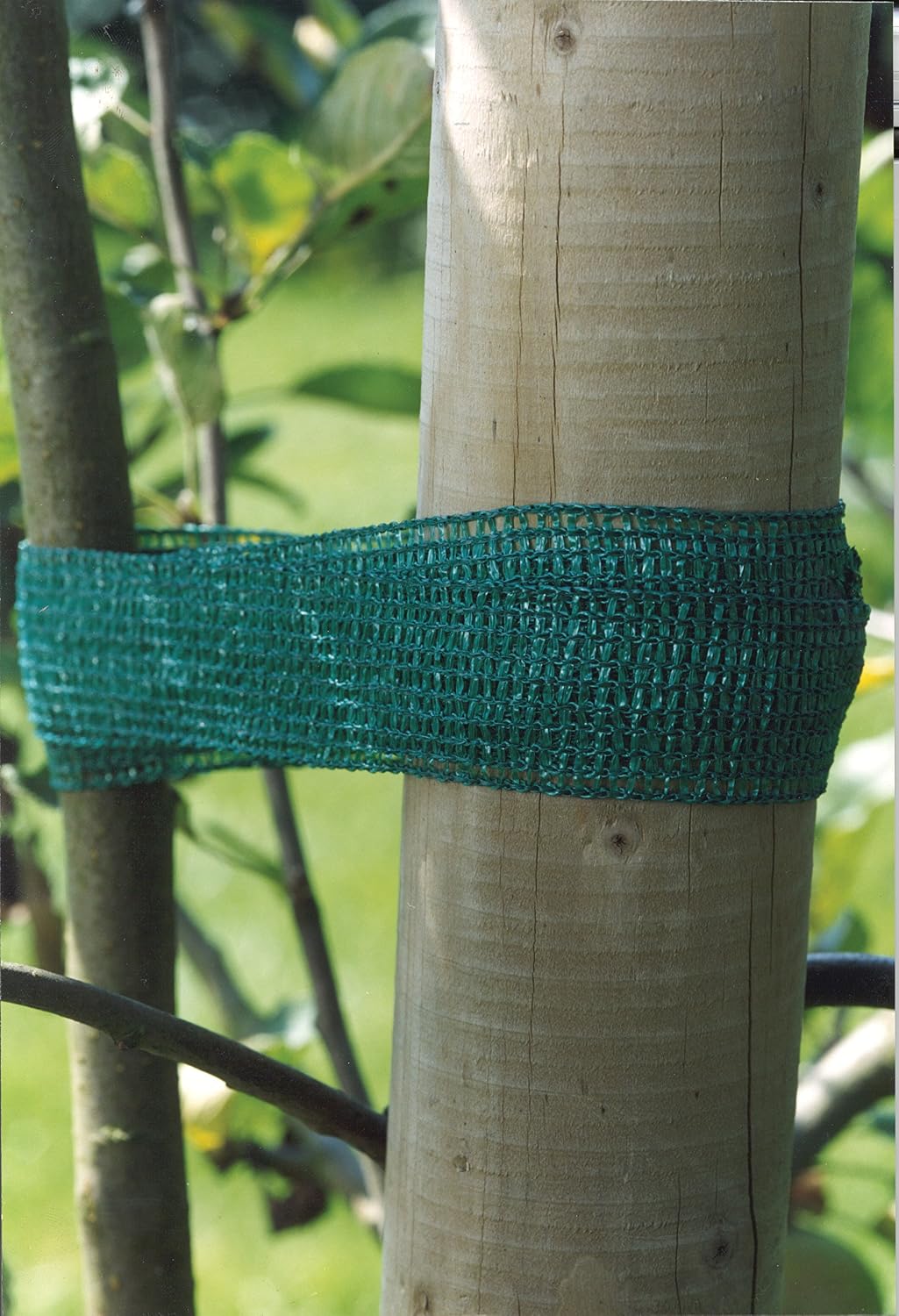 Connex Tree tie, 4 m - Plant tie - Plant support - FLOR78730 - Image 3