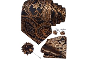 GUSLESON Paisley Tie Set for Men 3.15" Necktie Lapel Pin Hankerchief Cufflinks Set for Men