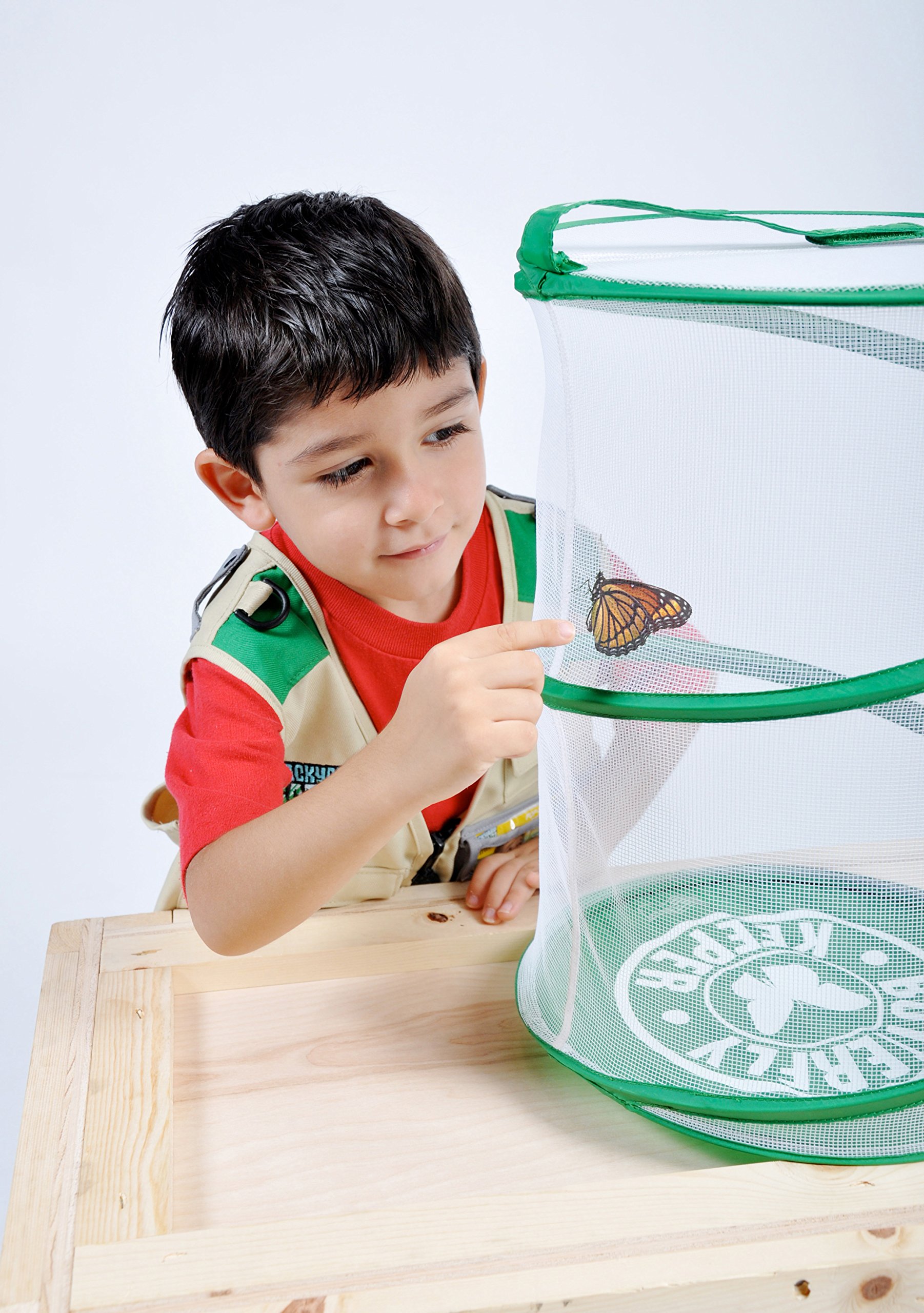 Backyard Safari Jura Toys 0t2456004bys Butterfly Habitat