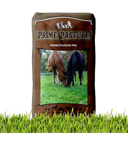 Amazon.com : Mountain View Seeds 100373 Pasture Overseeder