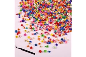 BZHYZKX 300+Pcs Mini Dried Flowers for Resin - Include a Tweezer | Colorful Real Natural Small Dried Flowers for Crafts, Tiny Dried Pressed Flowers for DIY Jewelry, Candle, Soap Making