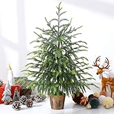 BLEUM CADE 2FT Small Norfolk Pine Tree with Pot, Table top Christmas Tree | Norfolk Pine Christmas Tree with Real Touch PE Branch for Tabletop Kitchen Indoor Outdoor Home Front Porch Christmas Decor