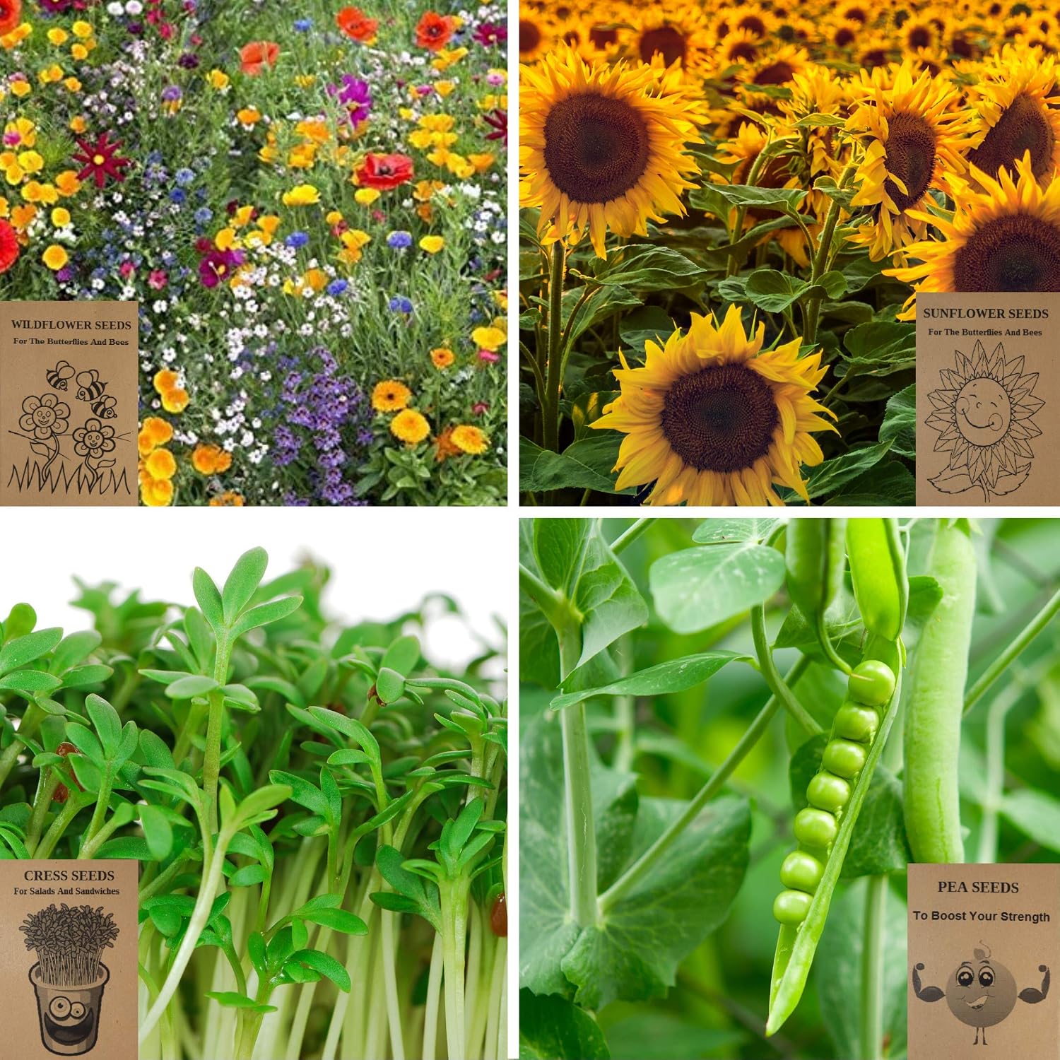 Kids Gardening Set, Grow Your own kit for Children Wildflower Seeds, Garden Set for Kids Seed Kits for Kids Kids Survival kit - Image 4
