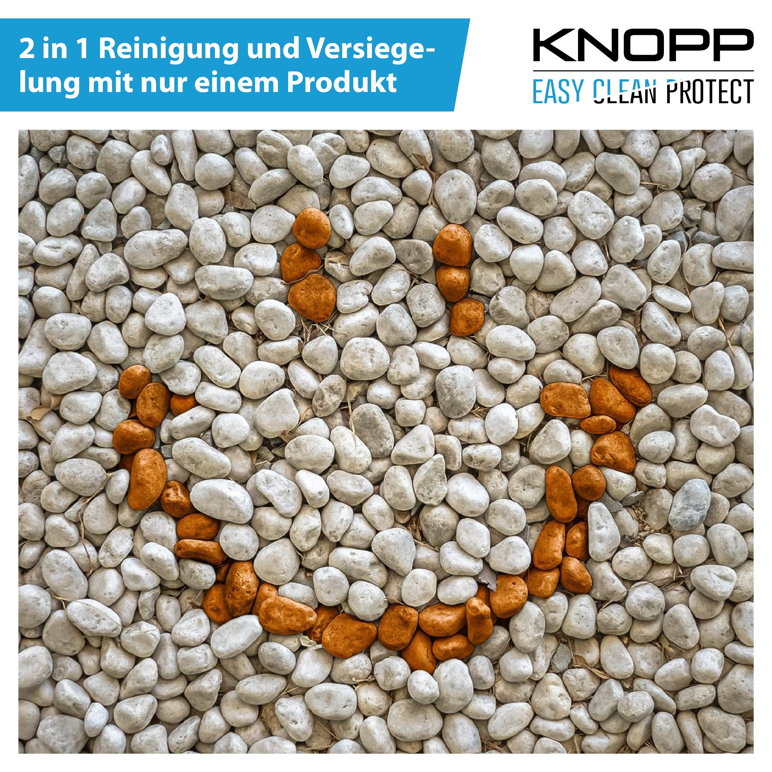 KNOPP Zierkies, Zierkiesreiniger + Versiegelung, Flechtenentferner, Grünbelagentferner, gebrauchsfertig, 500ml Sprüher 4