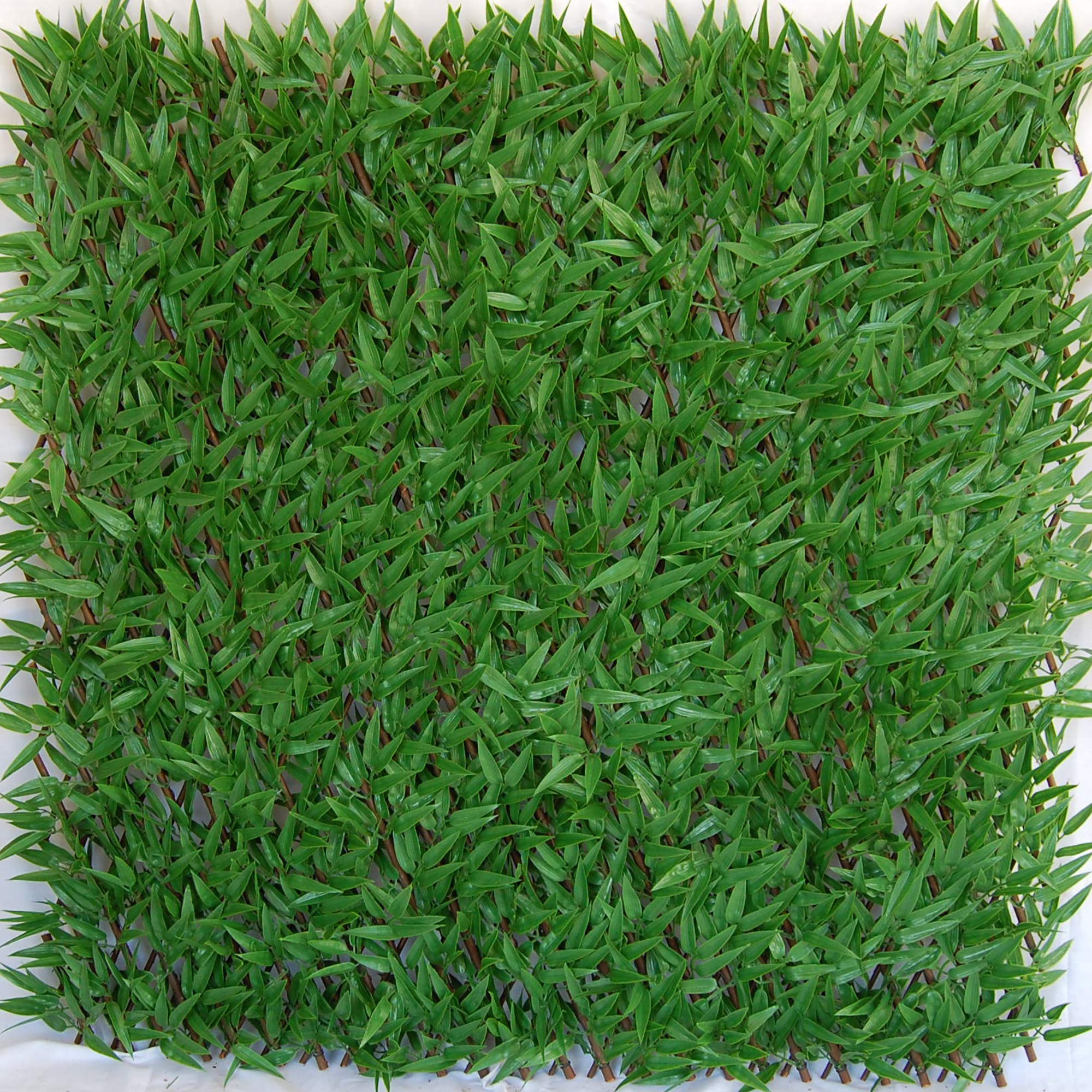 Tenax 1A180282 Artificial Hedge with Leaves Trellis Extensible in Willow, Divy 3D X-Tens Bamboo, 1x2 m, Green