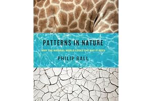 Patterns in Nature: Why the Natural World Looks the Way It Does