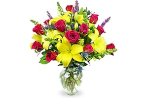 BENCHMARK BOUQUETS - Joyful Wishes (Glass Vase Included), Next-Day Delivery, Gift Fresh Flowers for Birthday, Anniversary, Ge