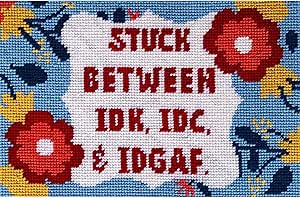 Download Amazon.com: IDK IDC IDGAF Needlepoint kit for Adults & Beginners. Subversive Saying Needlework ...