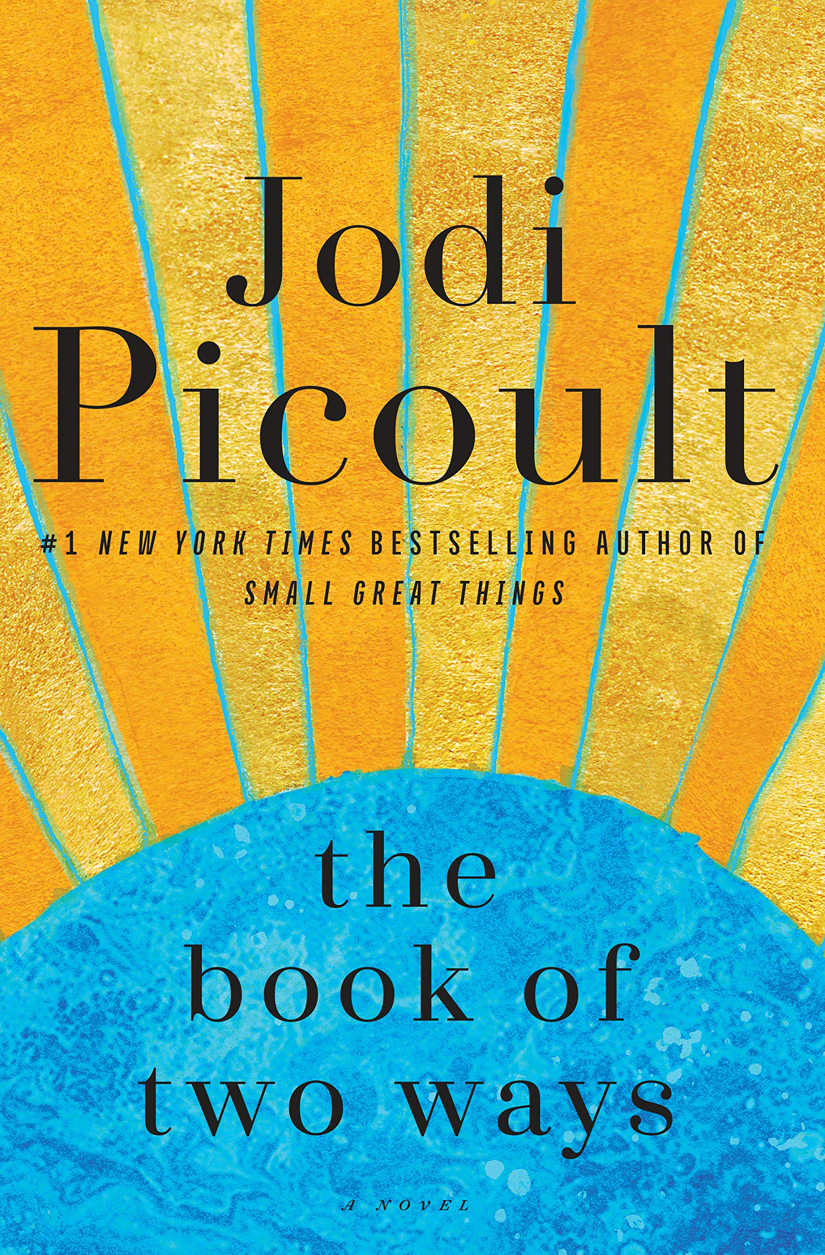 Jodi Picoult The Book of Two Ways
