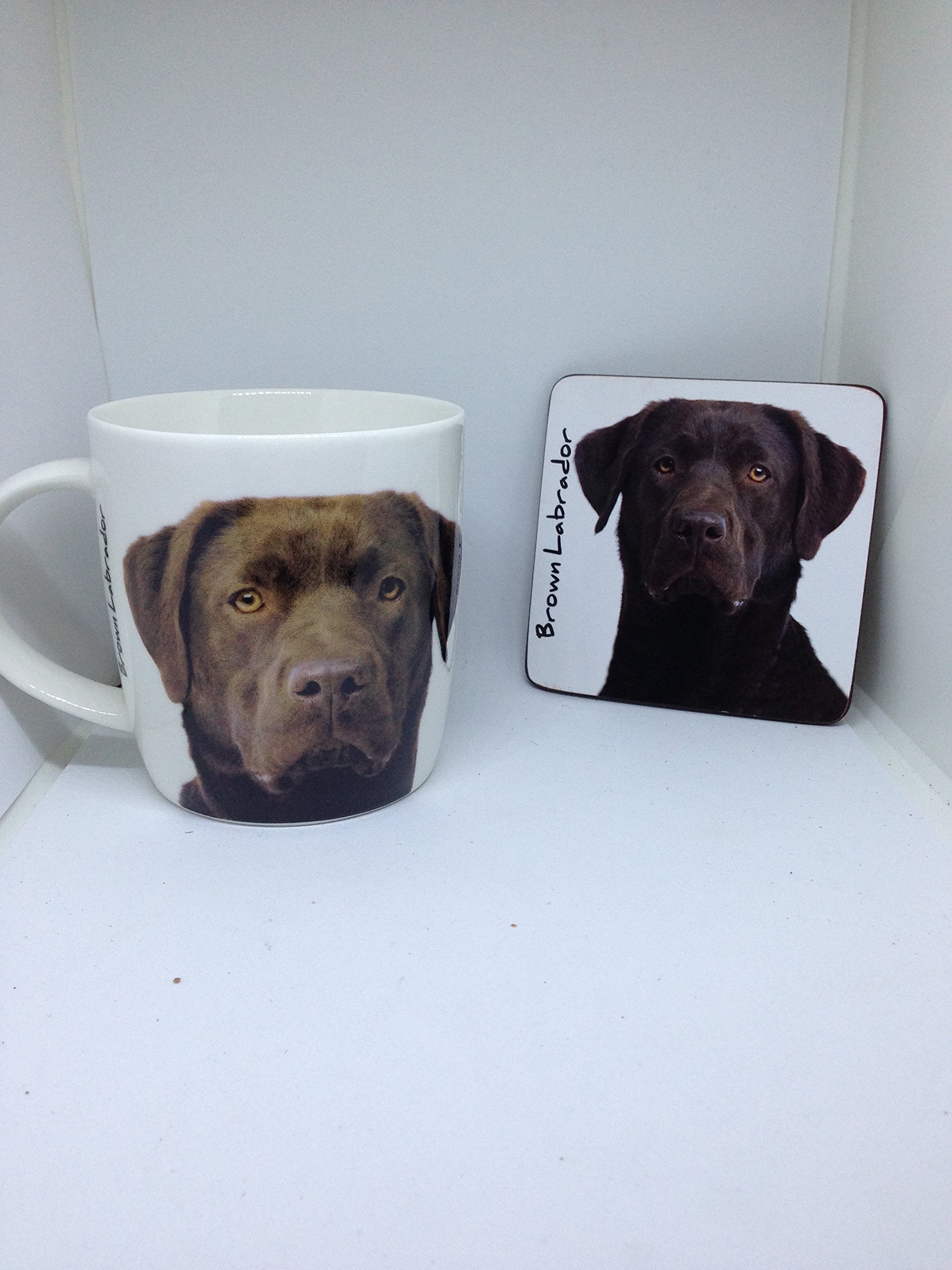 Brown Labrador mug and coaster set