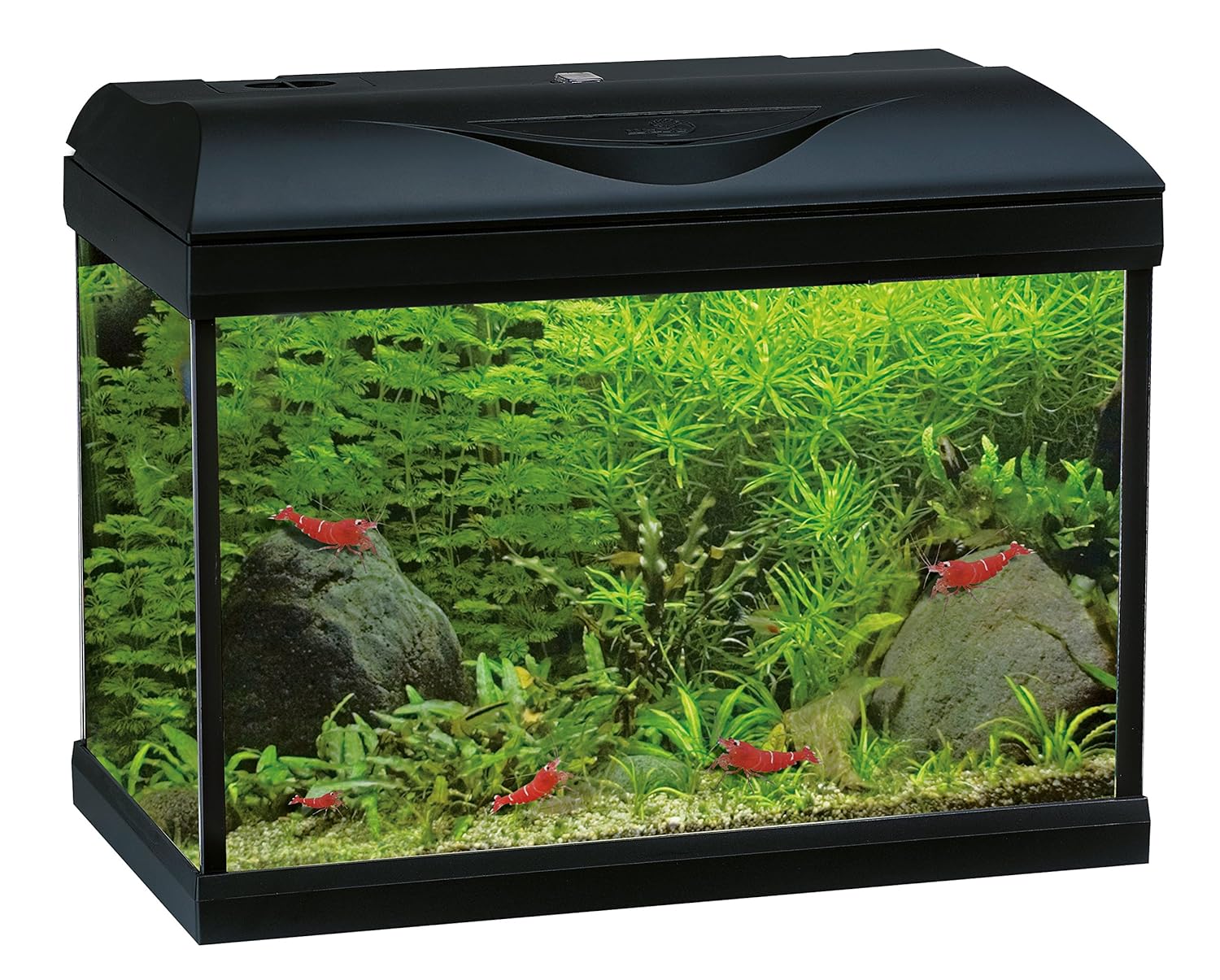 Kit Di Costruzione Omem Usb Mini Fish Tank Desktop Micro Landscape Led Fish Tank Blocchi Sovrapposta Acquario Fish Tank Pesci E Animali D Acqua Acquari