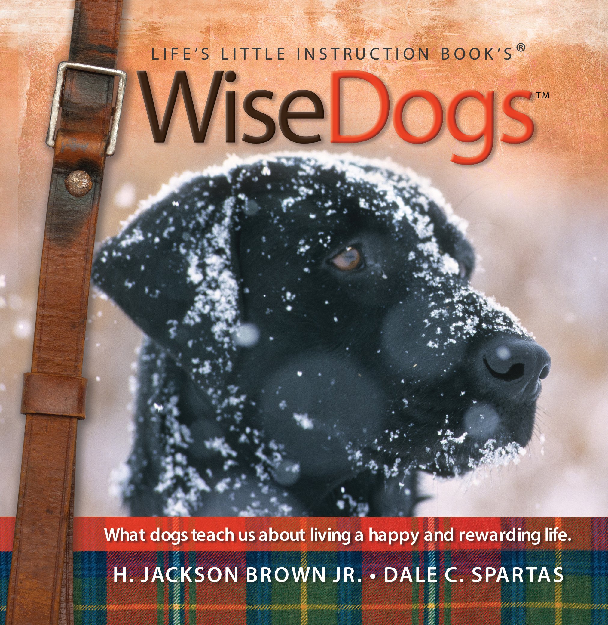 Amazoncom Wisedogs Lifes Little Instruction Book Lifes - 