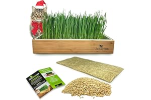 ZESTIGREENS Self-Watering Cat Grass Kit. Hands Down The Easiest Way to Grow Cat Grass. Includes Everything for a Big, Healthy Crop.