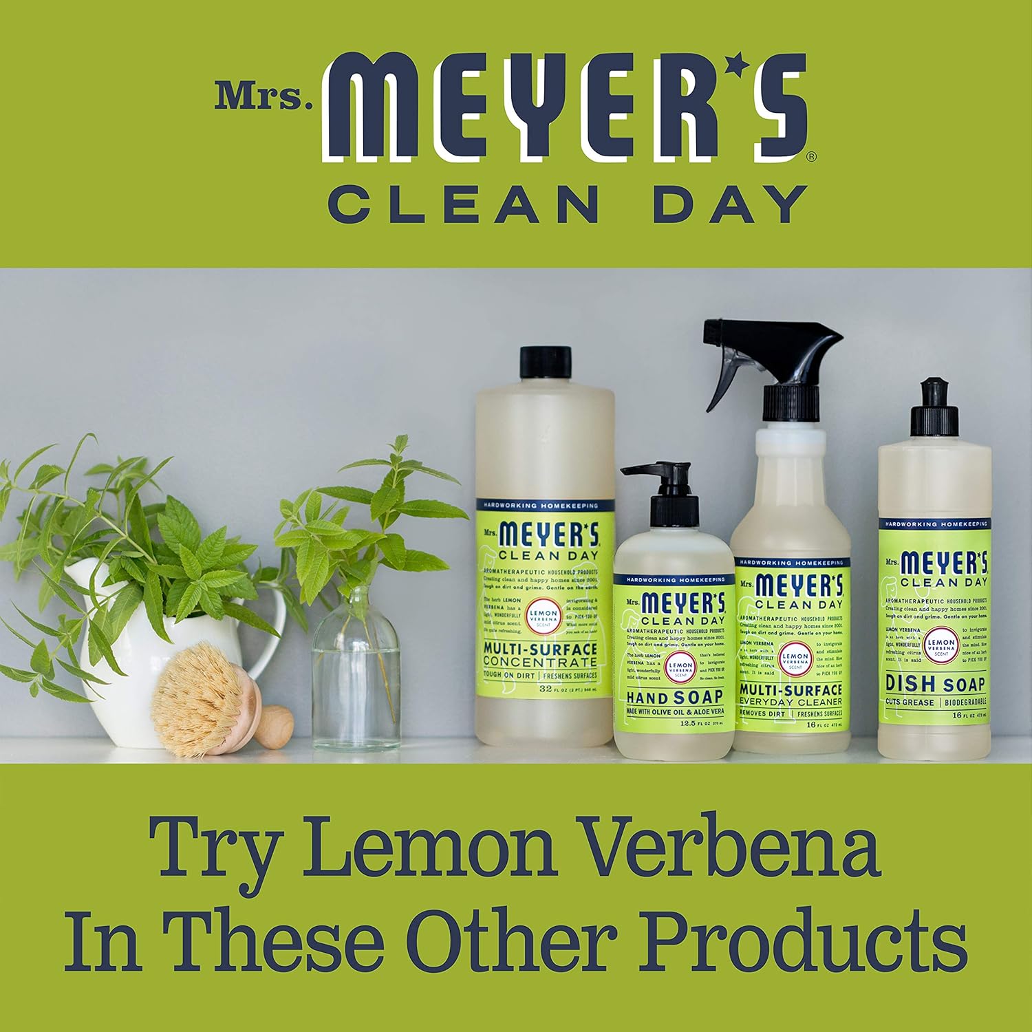 Mrs. Meyer's Clean Day Liquid Dish Soap, Cruelty Free Formula, Lemon Verbena Scent, 16 Oz- Pack of 3: Health & Personal Care