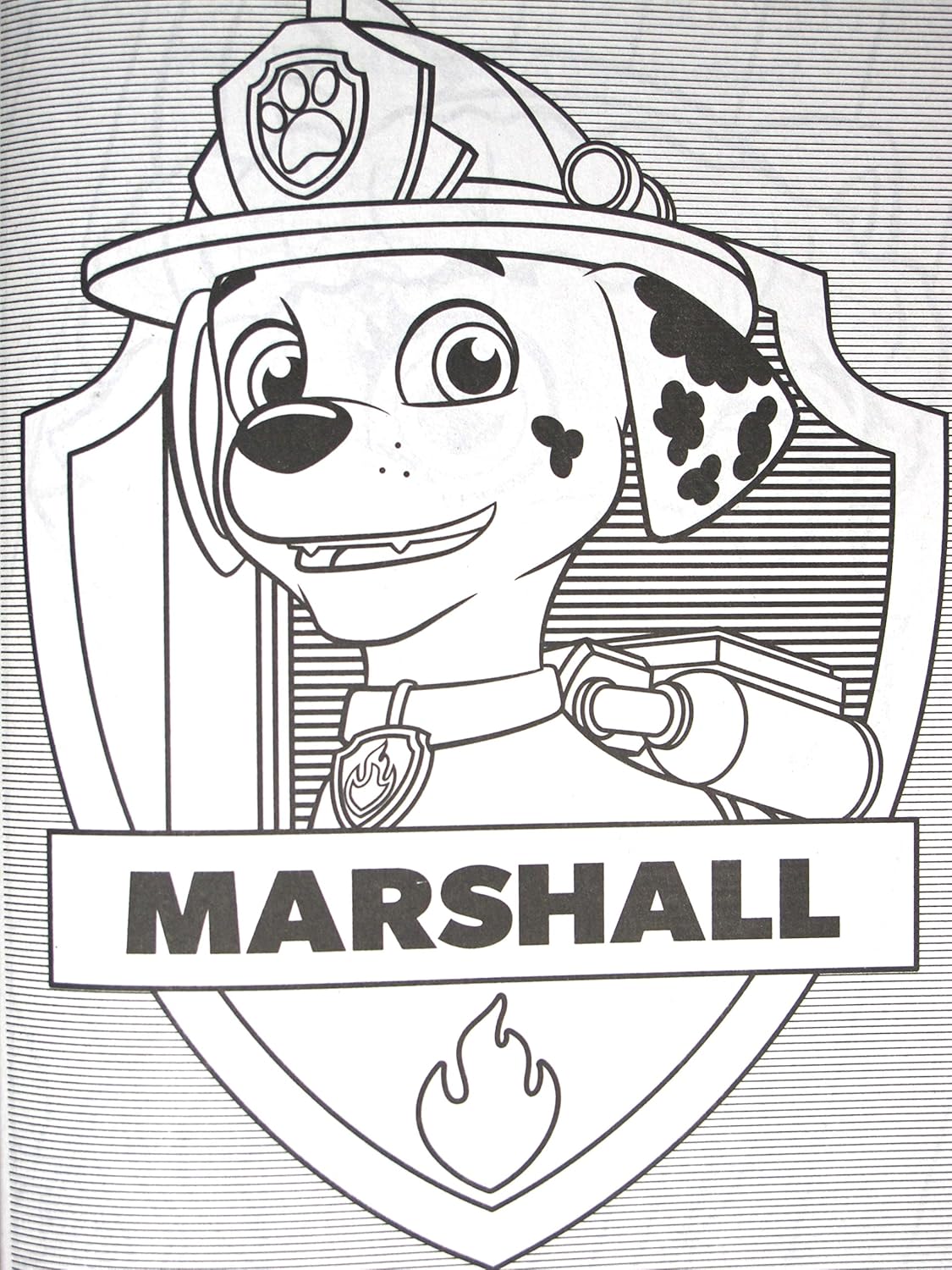 Amazon Com Little Boogers Paw Patrol Coloring Book Crayons 0 Stickers Temporary Tattoo Toys Games