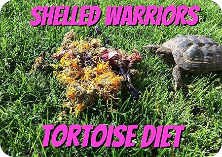 tortoise natural food