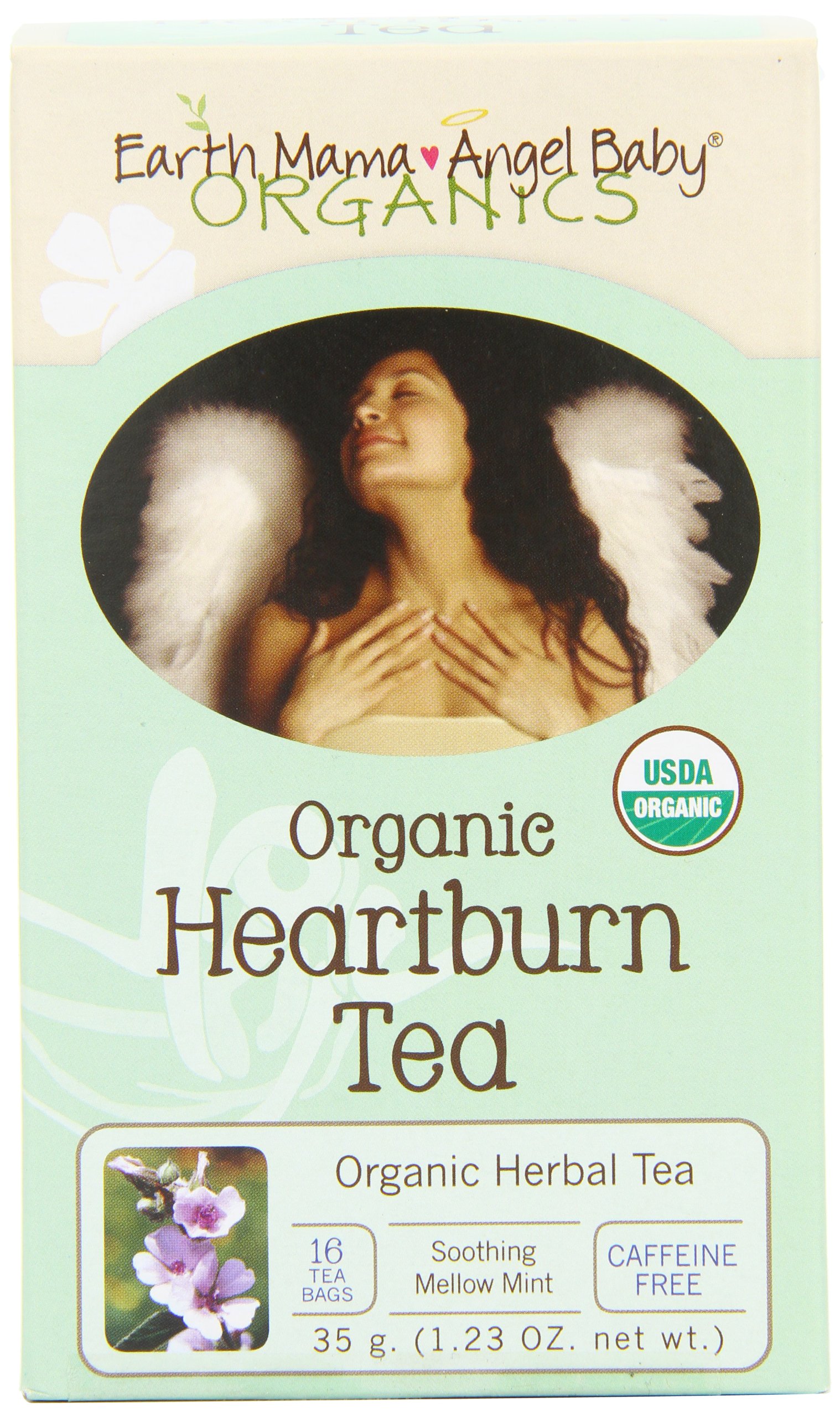Organic Heartburn Tea For Occasional Pregnancy Heartburn, 16 Teabags