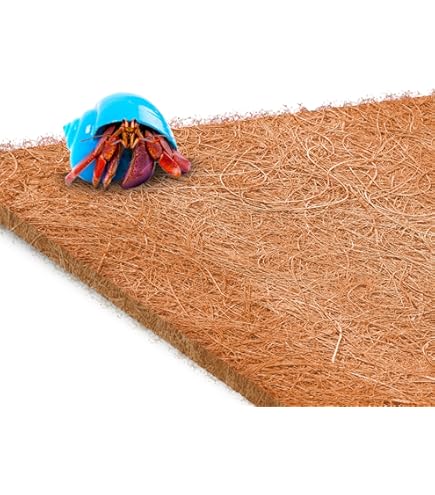 Kids Toddler Bed - Jungle Lion