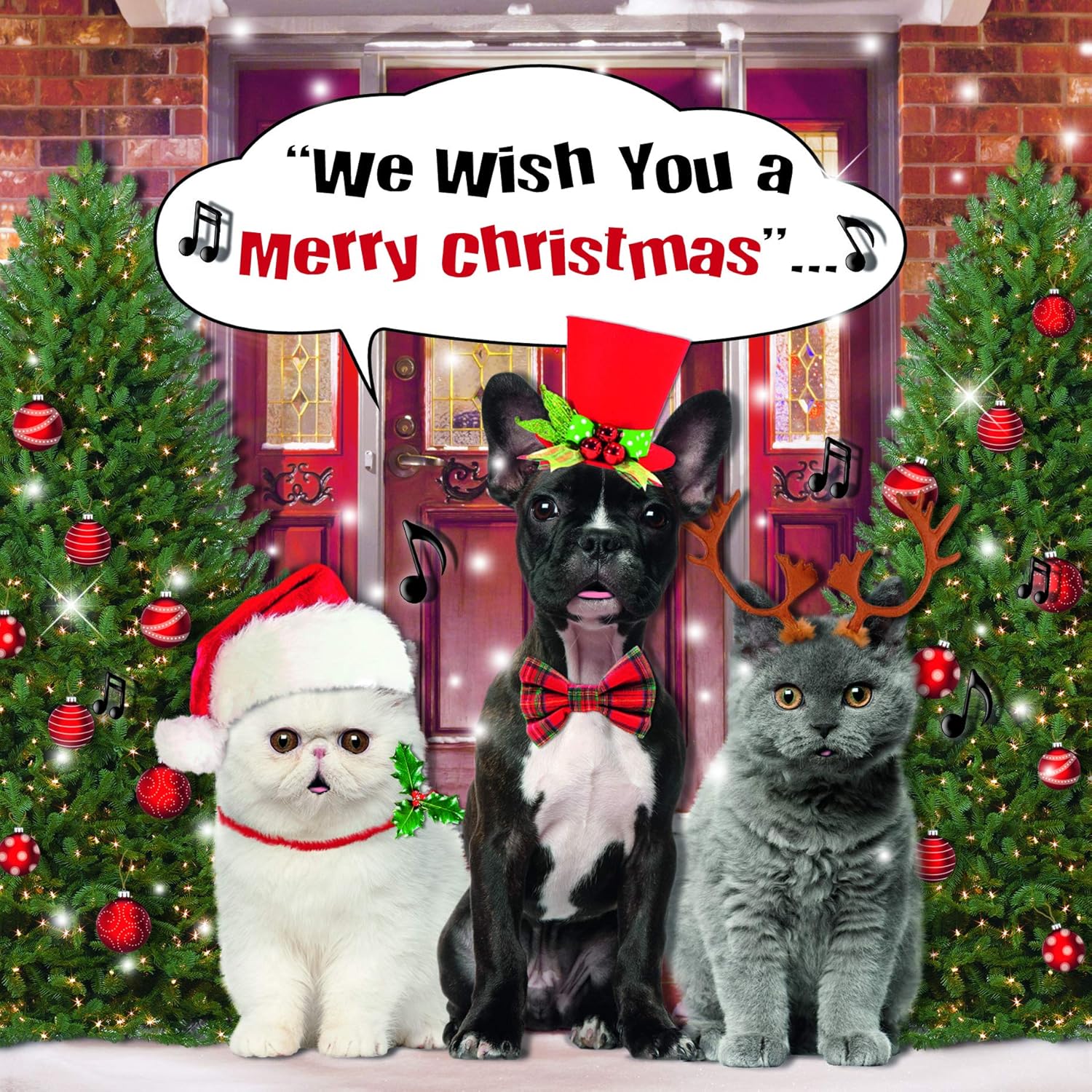 Cute Dogs & Cats, Cat Xmas Card, Christmas Card Generic, Cute Christmas Cards, Christmas Card for Her Xmas Card