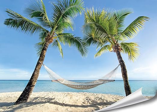 PMP 4life D coration Murale Plage  Hamac entre Palmiers   