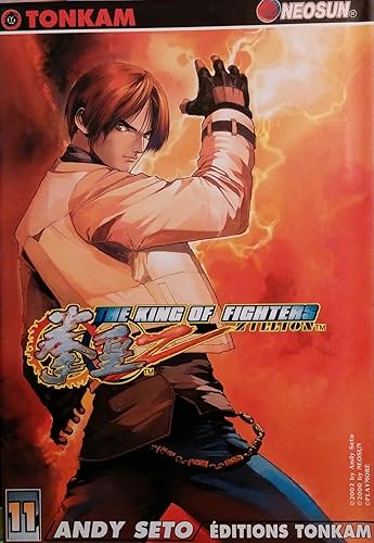 Download The king of fighters Zillion. 11 PDF