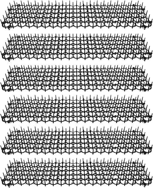 maltipoo docked tail