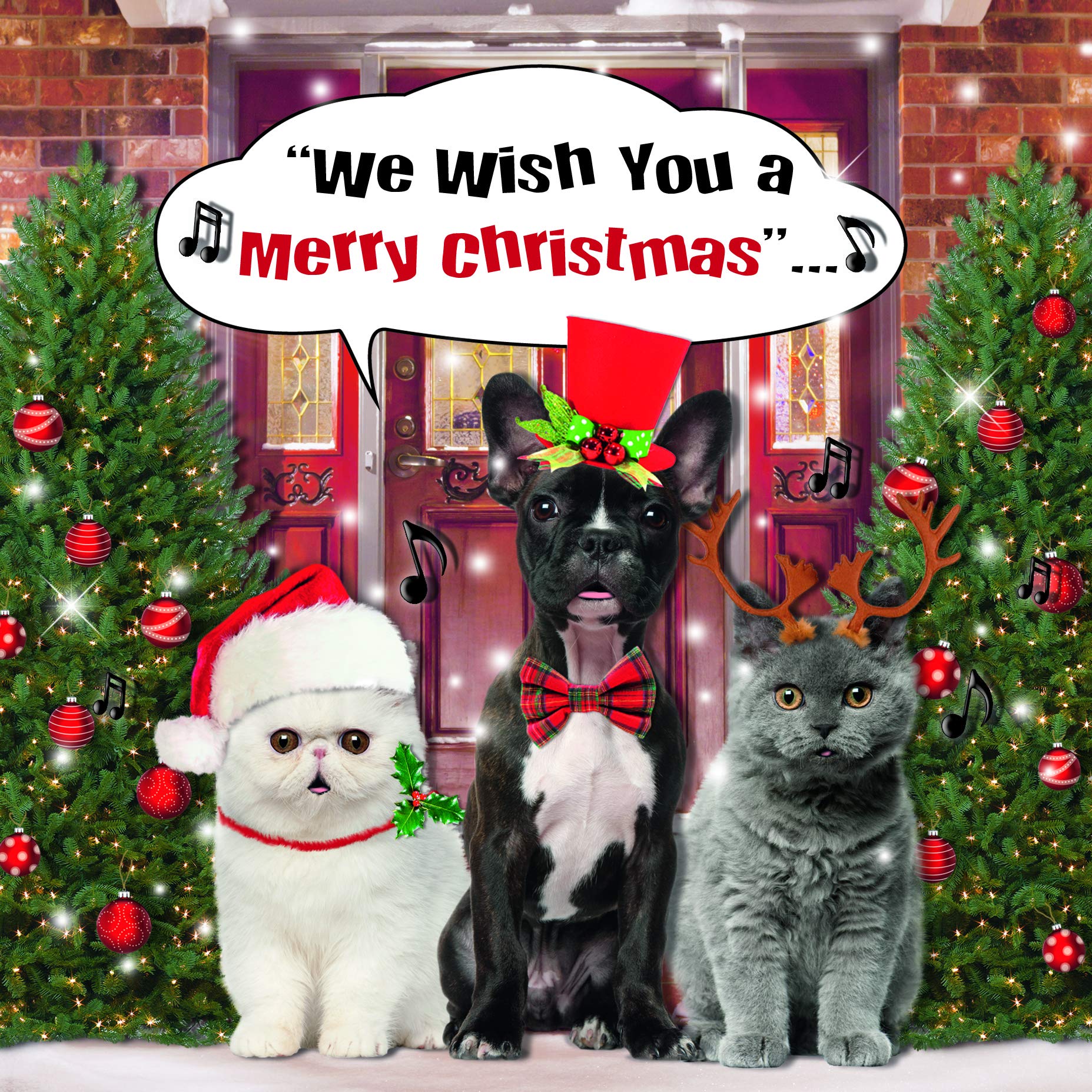 Cute Dogs & Cats, Cat Xmas Card, Christmas Card Generic, Cute Christmas Cards, Christmas Card For Her, Xmas Card, Generic Christmas Card, Christmas Card,Dog Christmas Cards, Christmas Cards For Him