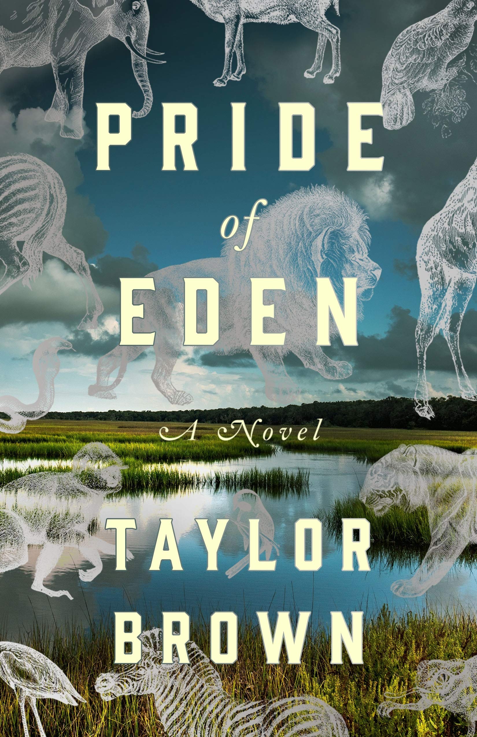 Amazon Com Pride Of Eden A Novel Brown Taylor Books