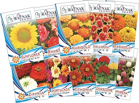 Garden Care Flowers Seeds For Summer Season (Pack Of 10)