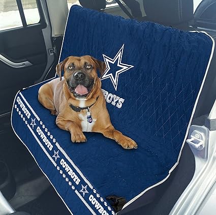 dallas cowboys dog