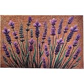 COMCONHMY Floral Front Door Welcome Mat, Aesthetic Cute Flower Doormat, Non-Slip Outdoor Entryway Rug,19”x 31